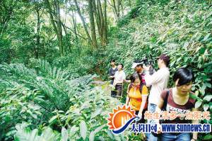 金光湖生态之旅受游客追棒