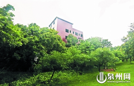 在建的社区办公楼