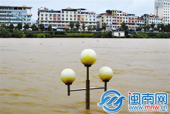 三明将乐县 连日暴雨，导致将乐县金溪河河水昨日暴 