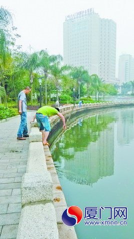 筼筜湖畔有不少这样捞鱼虾的人