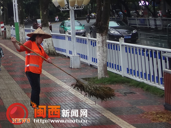 新罗龙川路行道树黄叶纷飞  园林局：正常现象