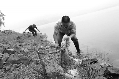 昨日，后桥水库工作人员对钓鱼者丢弃在岸边的垃圾进&nbsp;