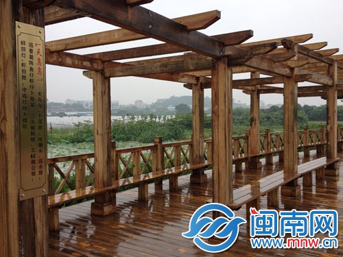 《天乌乌》等歌谣挂在莲花廊上