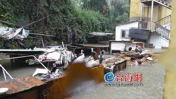 昨日厦门一场暴雨 警方7个小时接到17起积水报警1