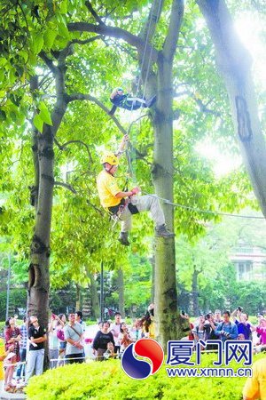 厦大攀树比赛参加者四成是女生