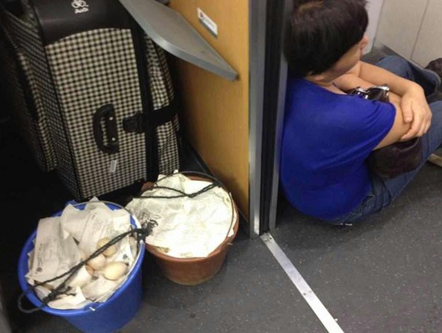 母亲挑三十斤蛋赶无座火车看儿子 累到坐地睡着