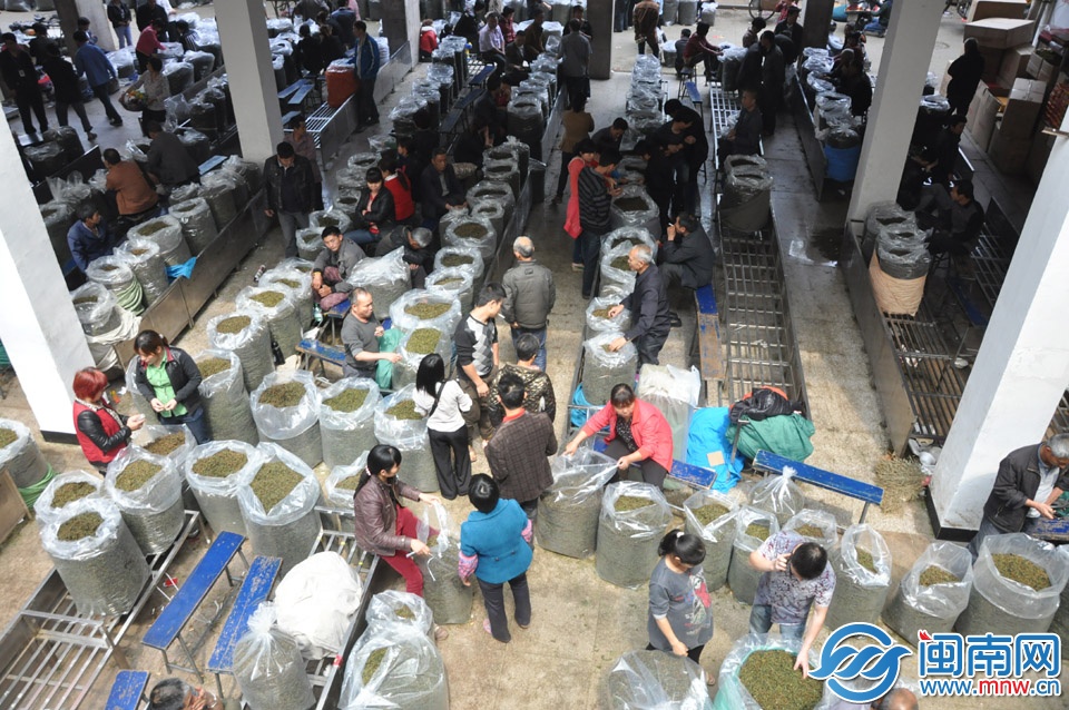已接近中午时分，交易大厅仍有许多茶农等待交易 副本
