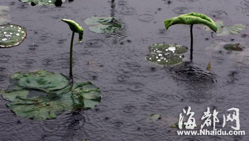 福建下一轮强降雨将至 端午假期两天泡雨