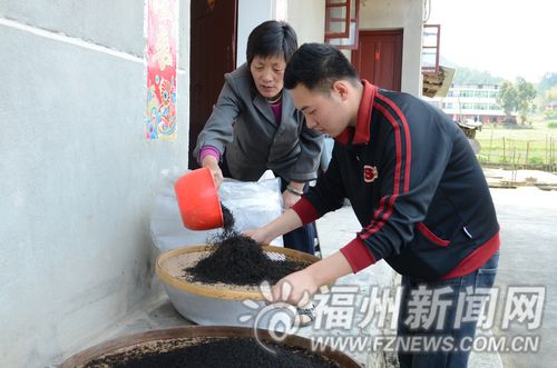 罗源90后小伙子放弃城里优越工作 深山里当茶农