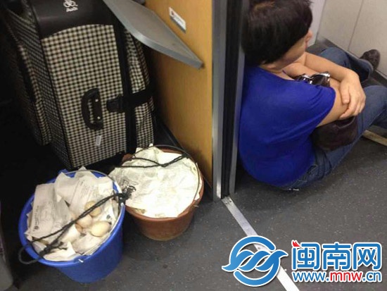 漳浦母亲挑蛋赶动车看儿子