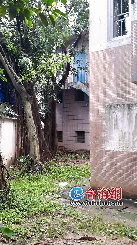 痛心！男子横尸小区草坪