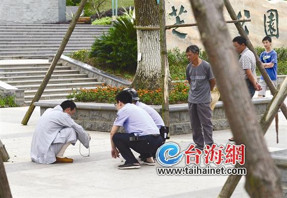 揪心!男子拦车跪地乞讨