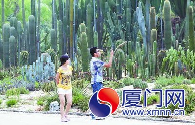 昨日厦门气温升高。图为观赏植物的游人