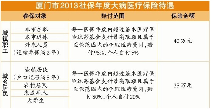 厦门市2013社保年度大病医疗保险待遇