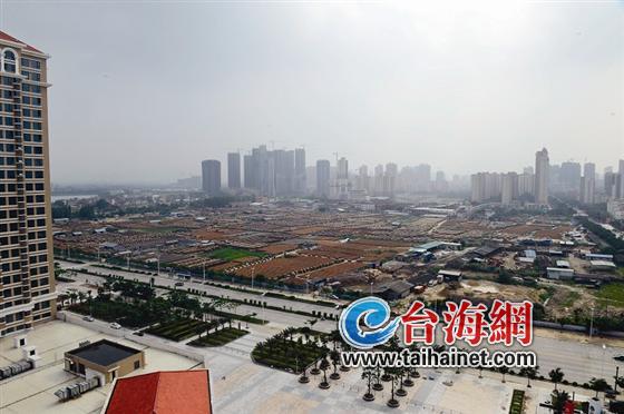 漳州市新行政中心地块将建城市片林？