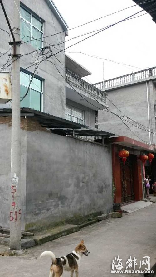 陈某有家的三层小楼