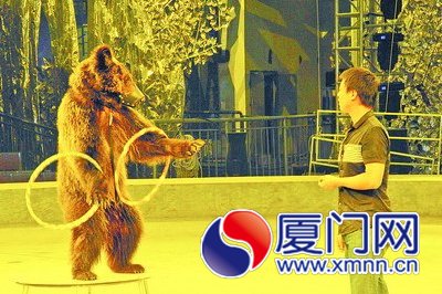 黑熊表演摇呼啦圈。