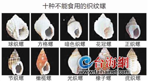 一村妇误食织纹螺