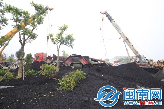 煤粉把绿化带和车道覆盖了