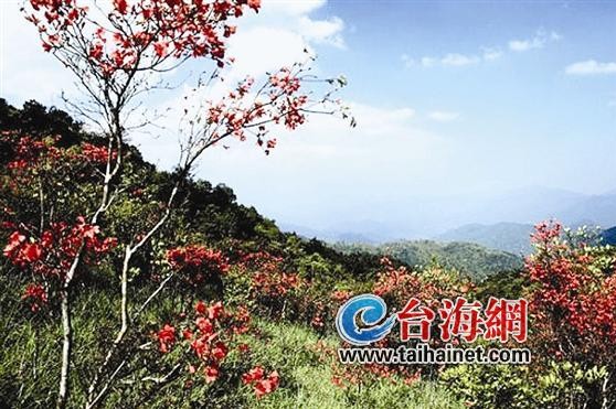 九龙江之源 恍若世外桃源