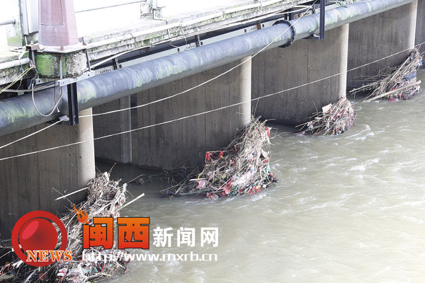 龙津河内垃圾成堆 部分地方随意倾倒现象严重