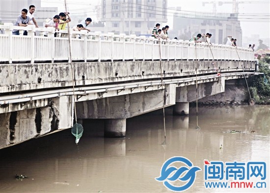 周边不少工友加入，捞鱼场面火热