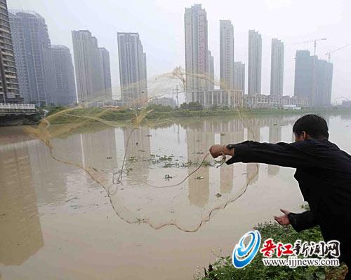 　鱼儿“浮头”，市民撒网。