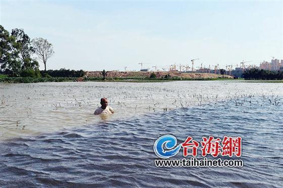 水塘？游泳池？
