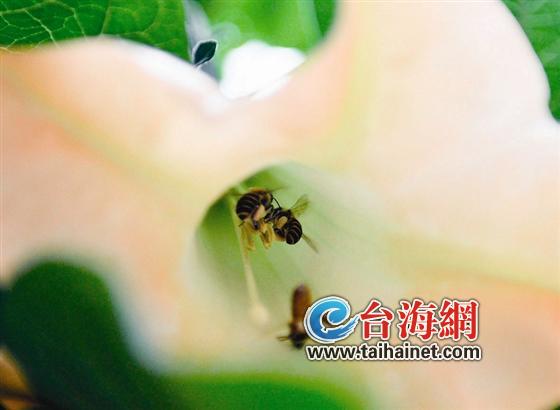 这边风景独好