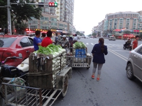菜农运菜堵了马路沿街为市当街买卖