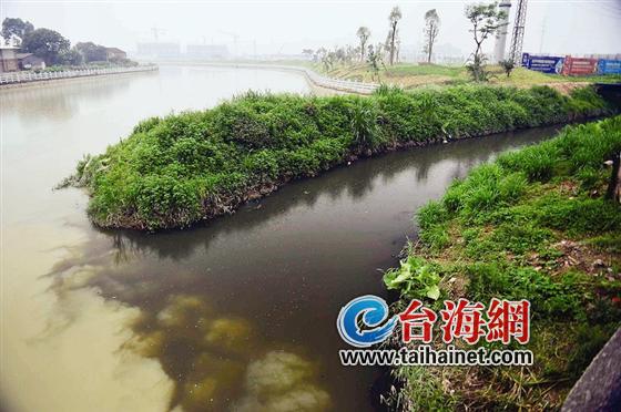 “黑黄两重天”何时了？