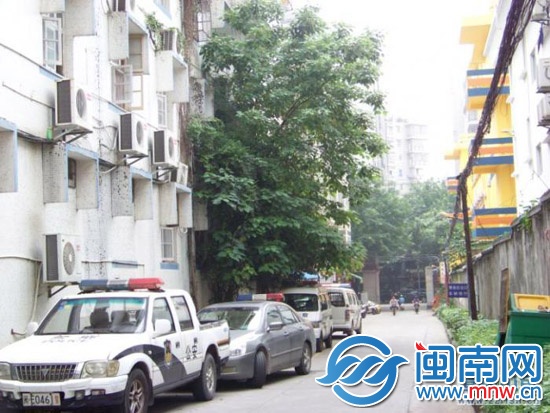 这棵树有3层楼高11