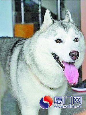 雪糕