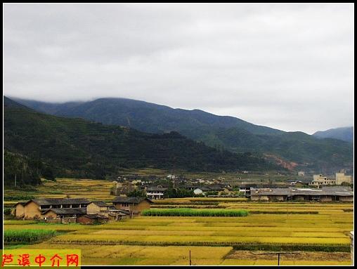 芦溪镇芦丰村11
