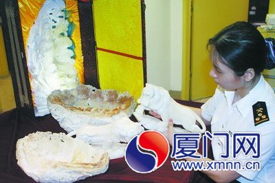海关工作人员查验这批砗磲制品