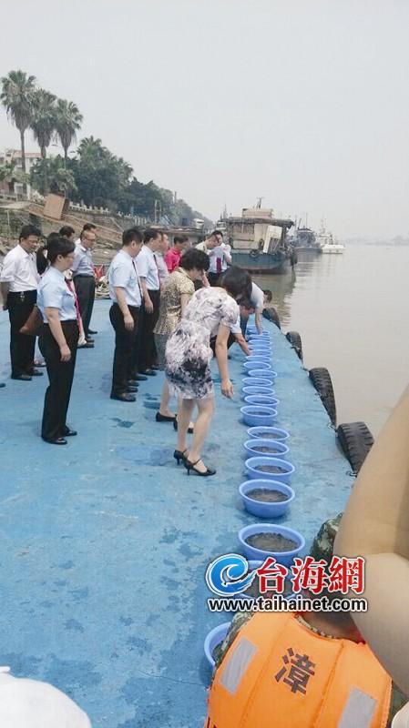偷排污水被罚6万元买鱼苗