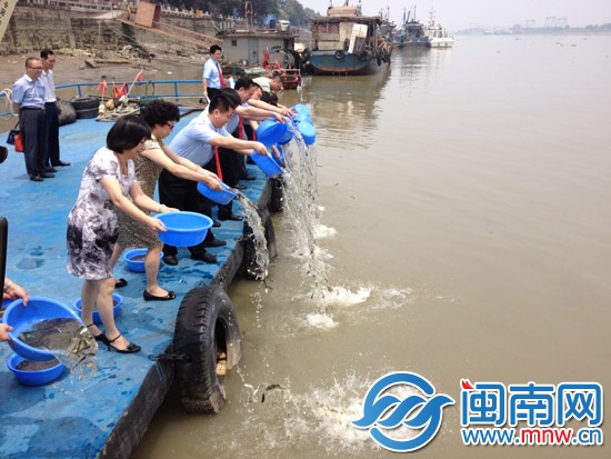 企业主获缓刑 买28万尾鱼苗放养11