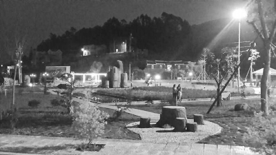 夜晚中的大眉村生态湿地公园。（大眉村村民苏海霞供 