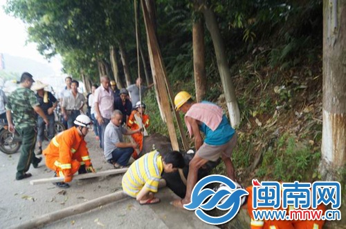 12米山坡坠下 奶牛被卡水沟