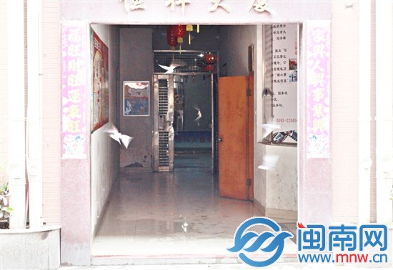 上午几十只燕子飞来捕食“纷飞”的白蚁，麻雀随后加 