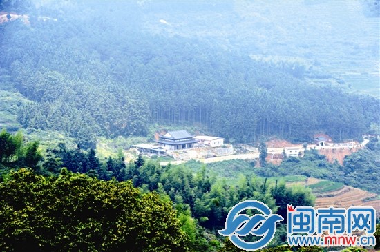 圆明寺边上就是桫椤