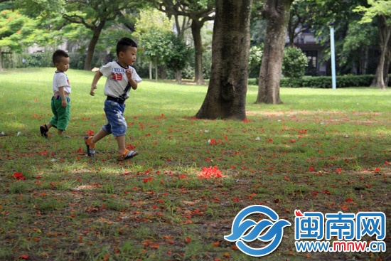 即便有雨，也以短时阵雨为主
