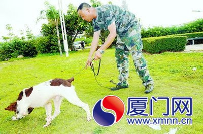 柯受是李维福一手训练出来的。