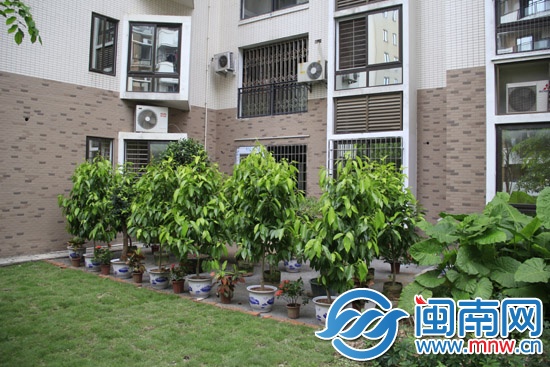 两片公共绿地被改成“私家花园”1
