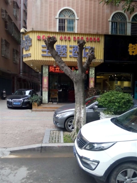 子芳路一行道树一夜“剃成秃头”