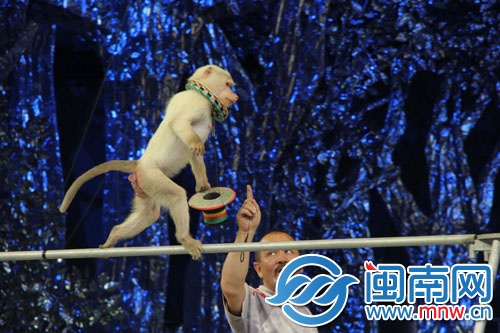 白狒狒走独杆