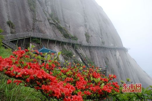 建宁闽江源生态区金铙山