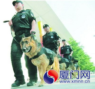特警支队的警犬队参与安保巡逻