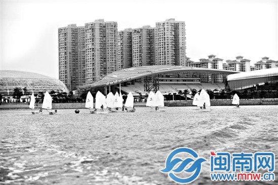 十四艘OP帆船在海沧湖上竞逐