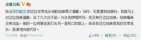 潘石屹殴打深圳航空女服务员